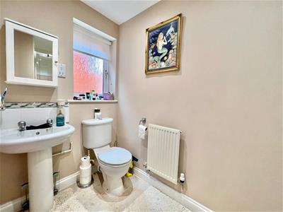 Picture 14